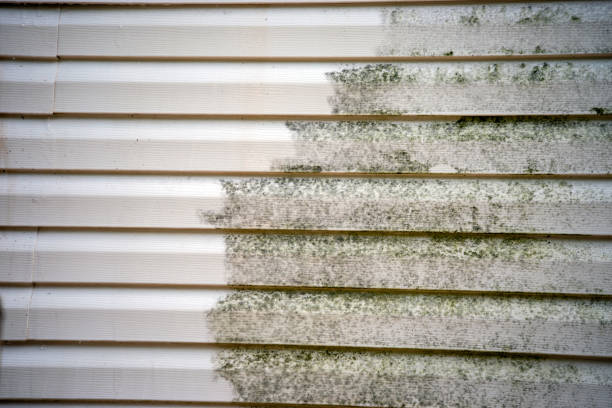 Best Storm Damage Siding Repair  in Meadow Glade, WA