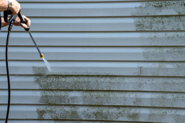 Siding for Commercial Buildings in Meadow Glade, WA