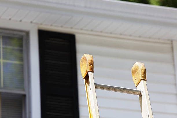 Best Custom Trim and Detailing for Siding  in Meadow Glade, WA
