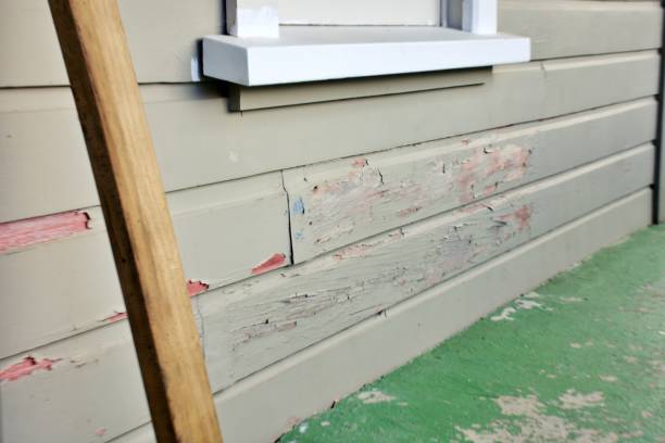 Best Aluminum Siding Installation  in Meadow Glade, WA