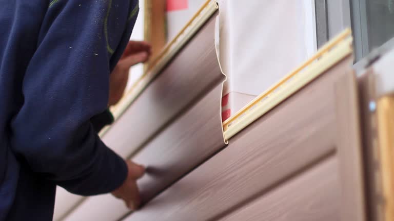 Best Siding for Commercial Buildings  in Meadow Glade, WA